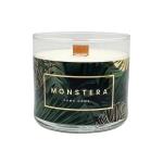 CANDELA PROFUMATA MONSTERA SMALL 450gr profumazione vaniglia e lime
